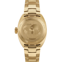 Bremont Terra Nova Bronze 40.5mm Automatic Watch TN40-DT-BZ-GN-B - Michael Jones Jeweller