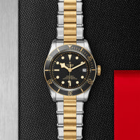 TUDOR Black Bay S&G 41mm Chronometer Yellow Gold and Steel Automatic Watch M79733N-0008 - Michael Jones Jeweller