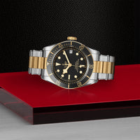 TUDOR Black Bay S&G 41mm Chronometer Yellow Gold and Steel Automatic Watch M79733N-0008 - Michael Jones Jeweller