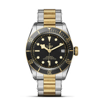 TUDOR Black Bay S&G 41mm Chronometer Yellow Gold and Steel Automatic Watch M79733N-0008 - Michael Jones Jeweller