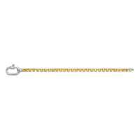 Ti Sento Yellow Gold Plated Rolo Chain Bracelet