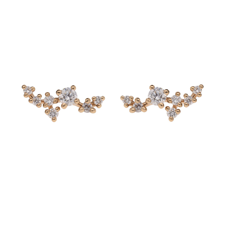 Diamond Blossom 18ct Rose Gold Earrings