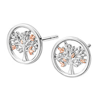 Clogau Tree of Life® Sterling Silver Stud Earrings 3SNTLCSE - Michael Jones Jeweller