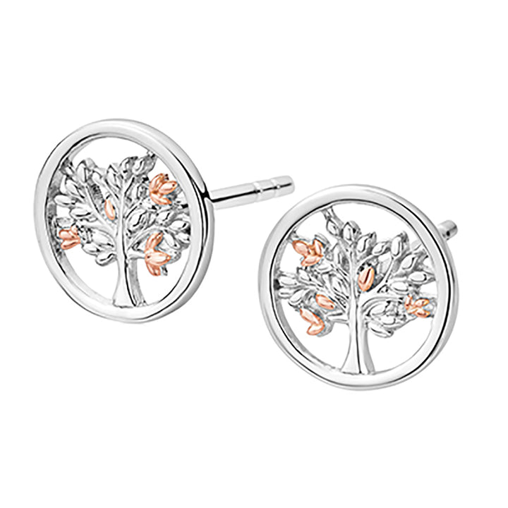 Clogau Tree of Life® Sterling Silver Stud Earrings 3SNTLCSE - Michael Jones Jeweller