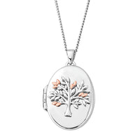 Clogau Tree of Life® Sterling Silver Locket 3SNTLL - Michael Jones Jeweller