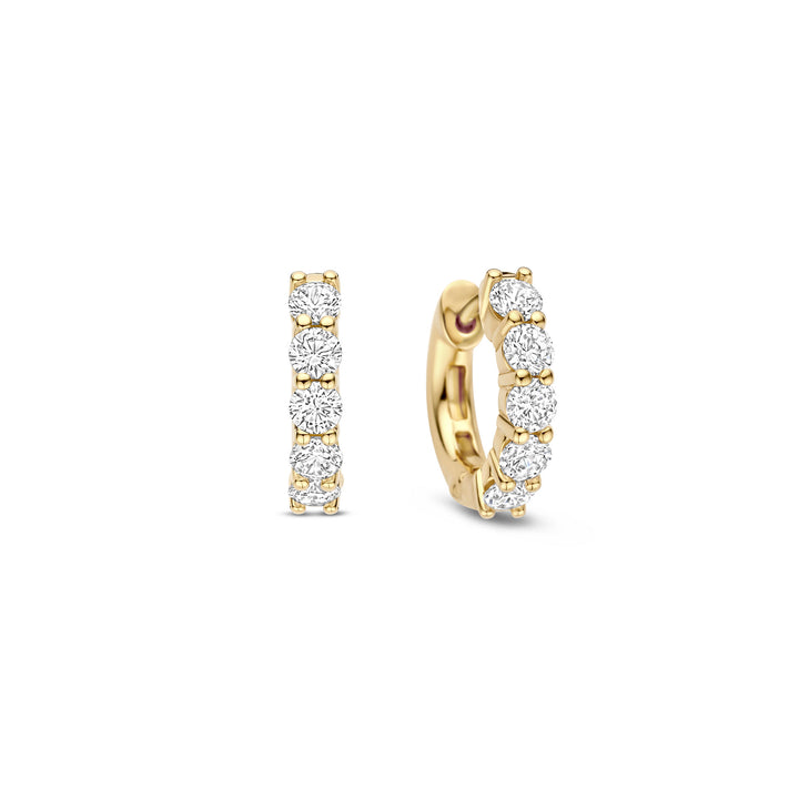 Ti Sento Yellow Gold Plated Cubic Zirconia Huggy Hoop Earrings 7718ZY