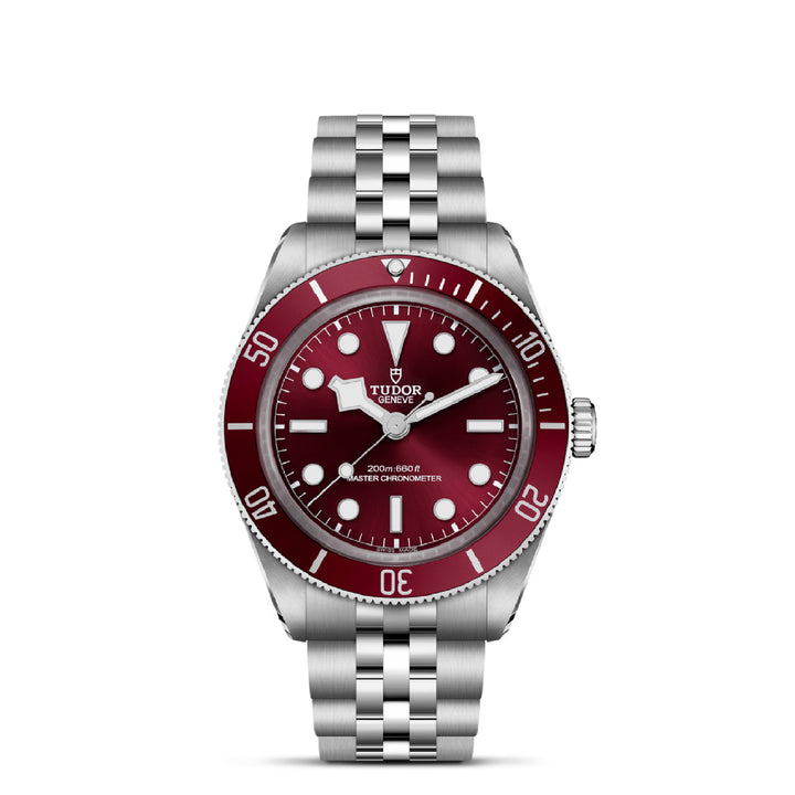 TUDOR Black Bay 58 39mm Master Chronometer Automatic Watch M7939A1A0RU-0001