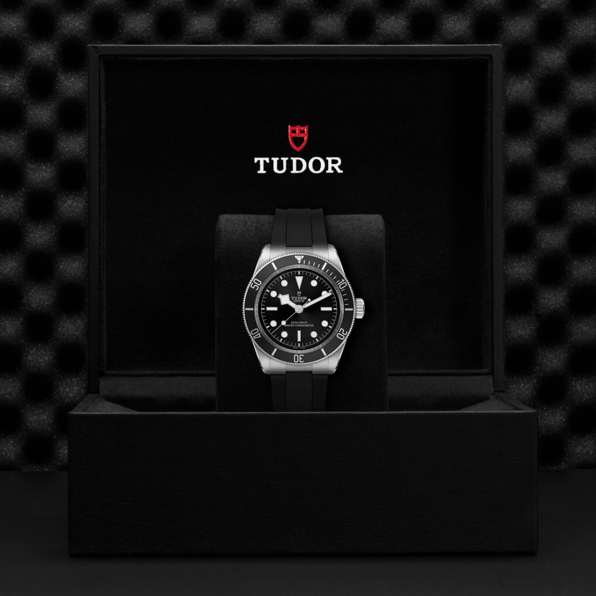 TUDOR Black Bay 41mm Stainless Steel Master Chronometer Automatic Watch M7941A1A0NU-0002 - Michael Jones Jeweller