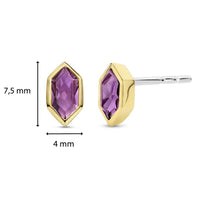 Ti Sento Yellow Gold Plated Purple CZ Stud Earrings 7944PU