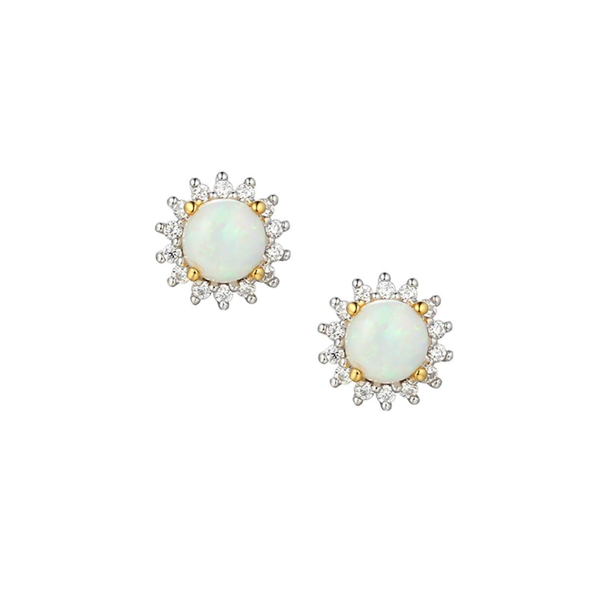 Amore Shimmer Opal Stud Earrings - Michael Jones Jeweller