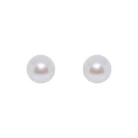 White Akoya Pearl 9ct Yellow Gold Stud Earrings