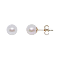 White Akoya Pearl 9ct Yellow Gold Stud Earrings