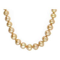 Golden South Sea Graduated 11-14mm 16 Inch Pearl Necklace - Michael Jones Jeweller
