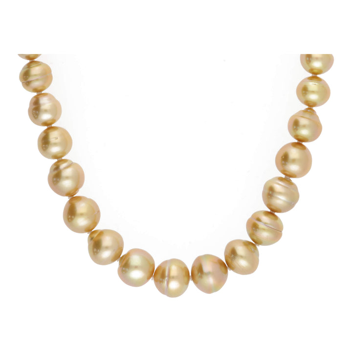 Golden South Sea Graduated 11-14mm 16 Inch Pearl Necklace - Michael Jones Jeweller