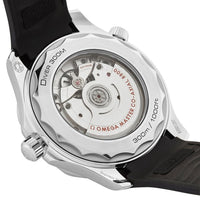 OMEGA Seamaster Diver 300M Co-Axial Master Chronometer 42mm Watch O21032422001003