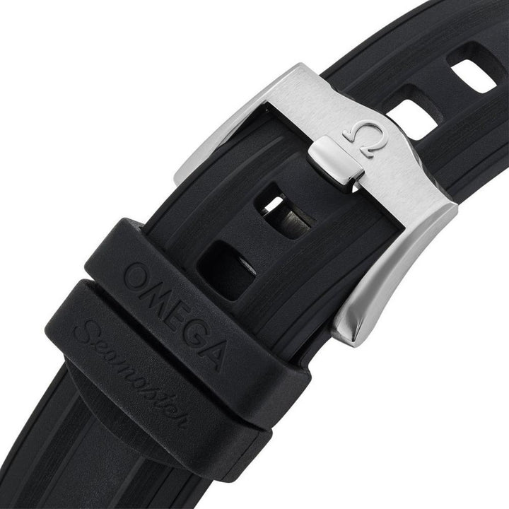 OMEGA Seamaster Diver 300M Co-Axial Master Chronometer 42mm Watch O21032422001003