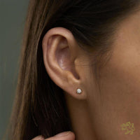 Windsor 0.20ct Diamond Yellow Gold Earrings