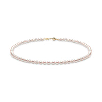 Yoko Classic Akoya Pearl 18ct Yellow Gold Necklace