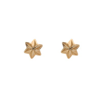 Star 9ct Yellow Gold Stud Earrings