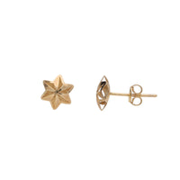 Star 9ct Yellow Gold Stud Earrings