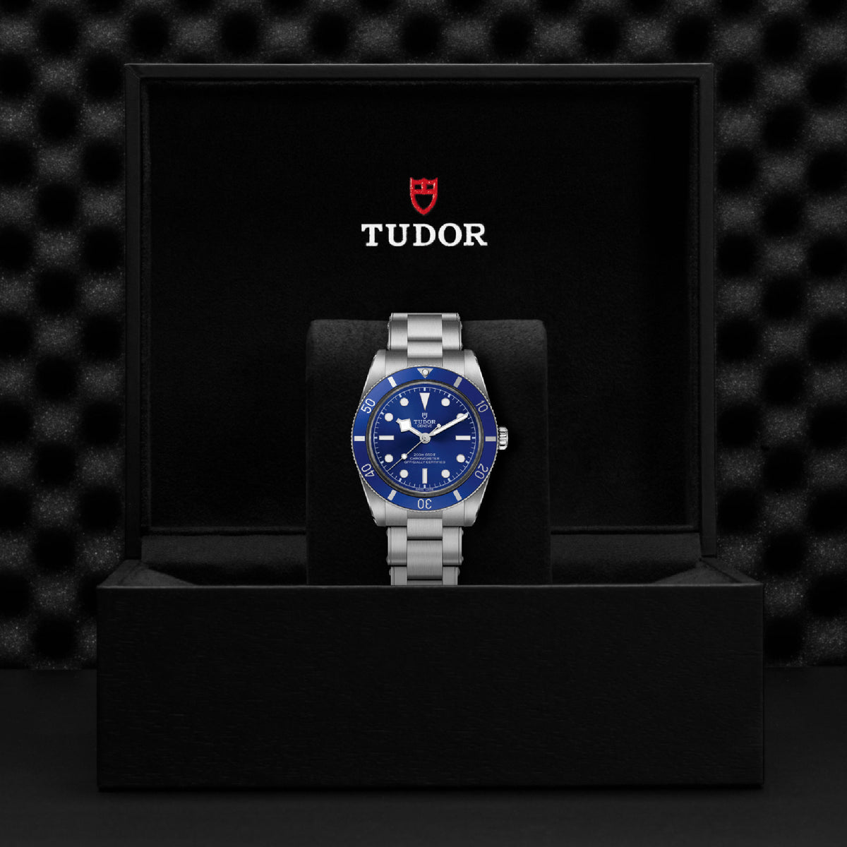 TUDOR Black Bay 54 37mm Stainless Steel Chronometer Automatic Watch M79000B-0001 - Michael Jones Jeweller