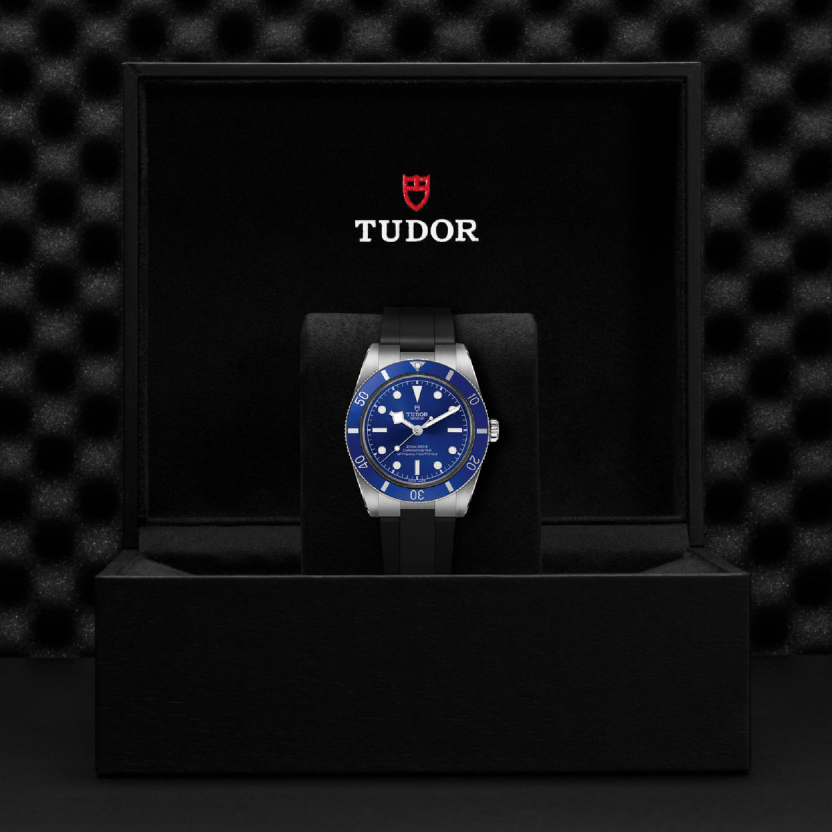 TUDOR Black Bay 54 37mm Stainless Steel Chronometer Automatic Watch M79000B-0002 - Michael Jones Jeweller