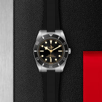 TUDOR Black Bay 54 37mm Stainless Steel Chronometer Automatic Watch M79000N-0002 - Michael Jones Jeweller