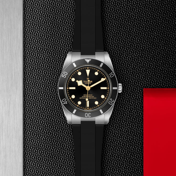 TUDOR Black Bay 54 37mm Stainless Steel Chronometer Automatic Watch M79000N-0002 - Michael Jones Jeweller