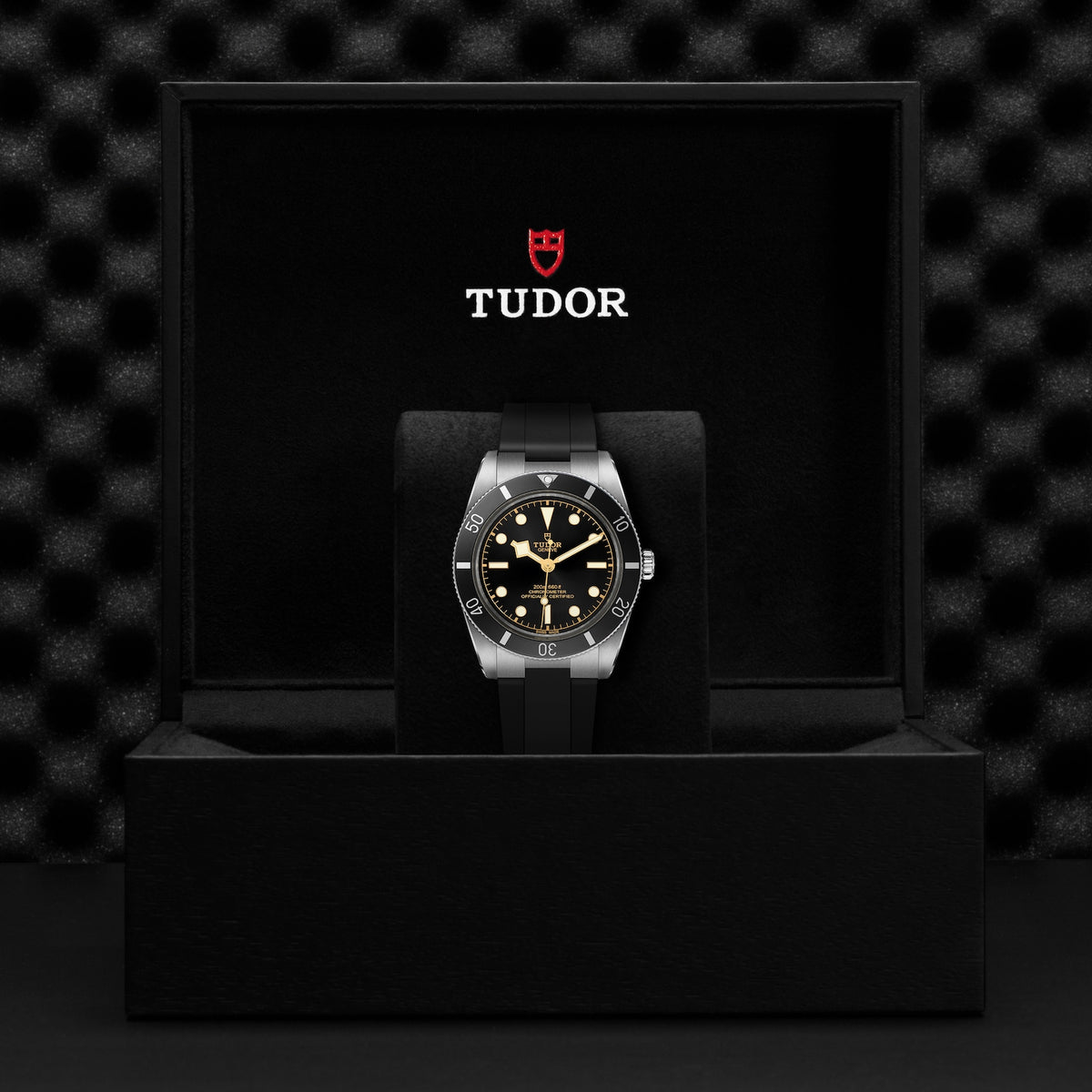 TUDOR Black Bay 54 37mm Stainless Steel Chronometer Automatic Watch M79000N-0002 - Michael Jones Jeweller