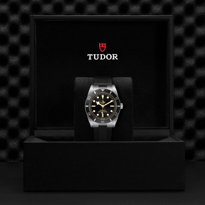 TUDOR Black Bay 54 37mm Stainless Steel Chronometer Automatic Watch M79000N-0002 - Michael Jones Jeweller
