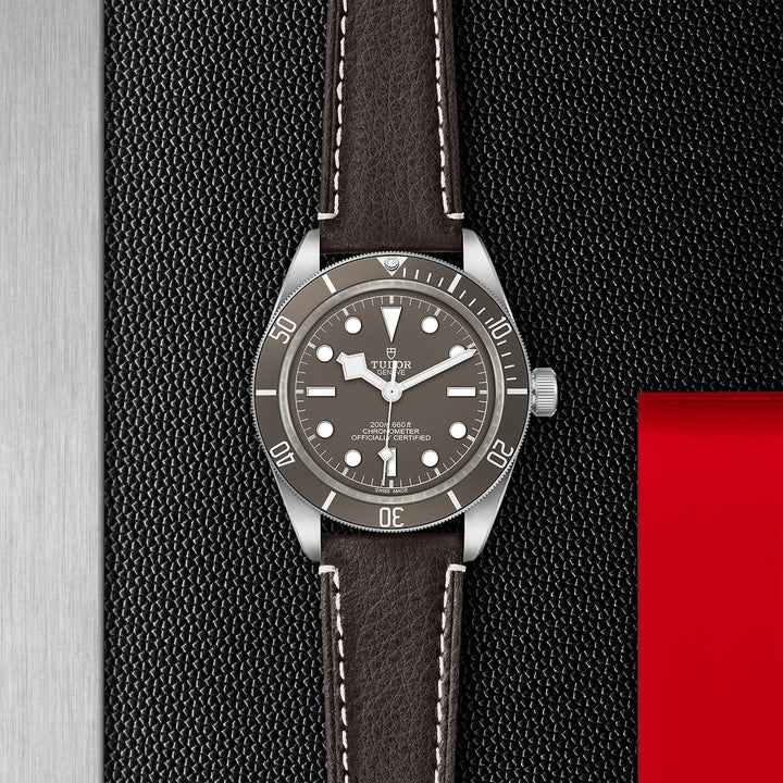 TUDOR Black Bay 58 39mm Chronometer 925 Silver Automatic Watch M79010SG-0001