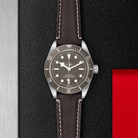 TUDOR Black Bay 58 39mm Chronometer 925 Silver Automatic Watch M79010SG-0001 - Michael Jones Jeweller