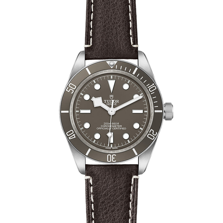 TUDOR Black Bay 58 39mm Chronometer 925 Silver Automatic Watch M79010SG-0001 - Michael Jones Jeweller
