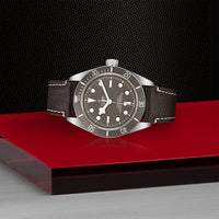 TUDOR Black Bay 58 39mm Chronometer 925 Silver Automatic Watch M79010SG-0001 - Michael Jones Jeweller