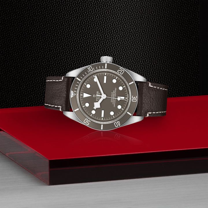 TUDOR Black Bay 58 39mm Chronometer 925 Silver Automatic Watch M79010SG-0001 - Michael Jones Jeweller