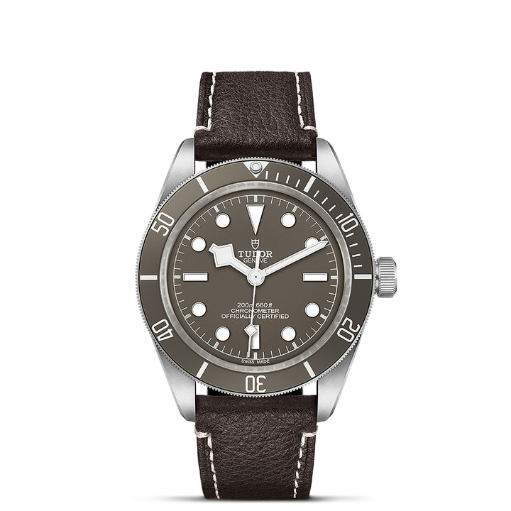 TUDOR Black Bay 58 39mm Chronometer 925 Silver Automatic Watch M79010SG-0001