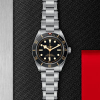 TUDOR Black Bay 58 39mm Chronometer Stainless Steel Automatic Watch M79030N-0001 - Michael Jones Jeweller