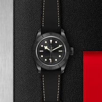 TUDOR Black Bay 41mm Master Chronometer Automatic Watch M79210CNU-0001 - Michael Jones Jeweller