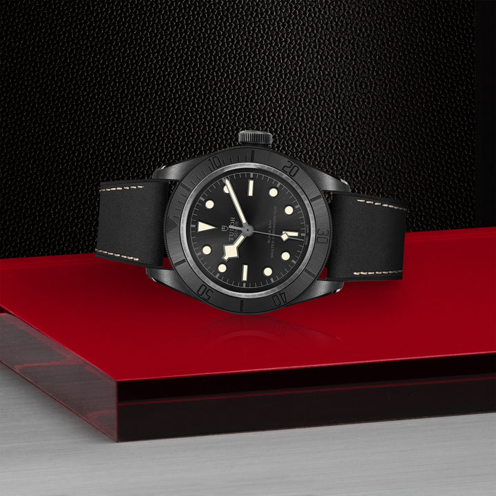 TUDOR Black Bay 41mm Master Chronometer Automatic Watch M79210CNU-0001 - Michael Jones Jeweller