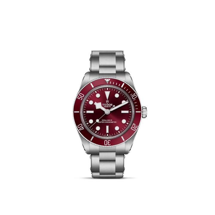 TUDOR Black Bay 58 39mm Master Chronometer Automatic Watch M7939A1A0RU-0002