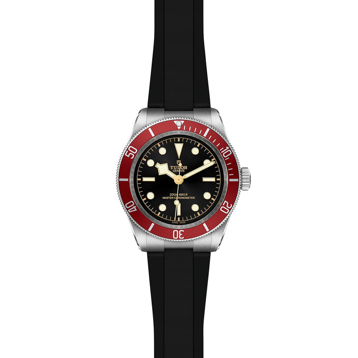 TUDOR Black Bay 41mm Stainless Steel Master Chronometer Automatic Watch M7941A1A0RU-0002
