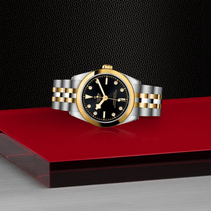 TUDOR Black Bay 31mm Chronometer Stainless Steel and Yellow Gold Diamond Automatic Watch M79603-0006 - Michael Jones Jeweller