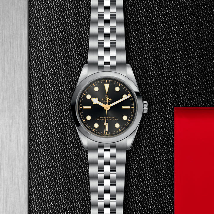 TUDOR Black Bay 36mm Chronometer Stainless Steel Automatic Watch M79640-0001 - Michael Jones Jeweller