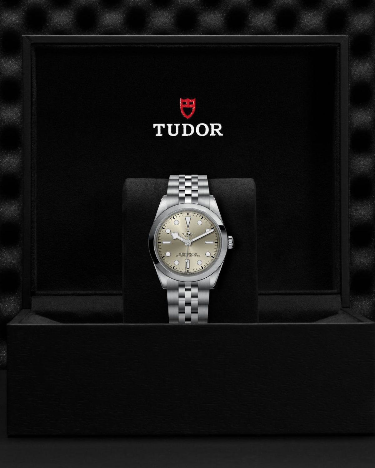 TUDOR Bay One 36mm Chronometer Stainless Steel Automatic Watch M79640-0003 - Michael Jones Jeweller
