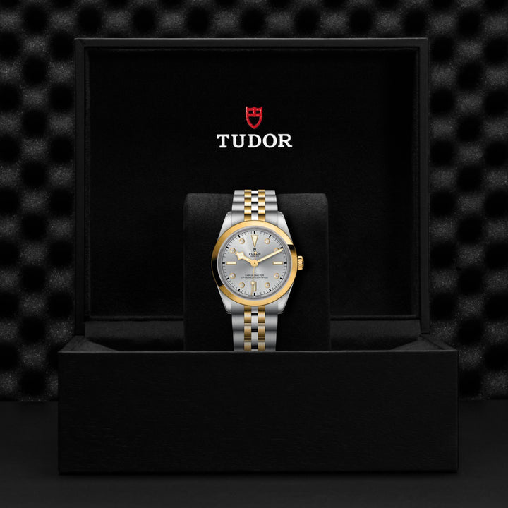 TUDOR Black Bay One 36mm Chronometer Stainless Steel and Yellow Gold Diamond Automatic Watch M79643-0007 - Michael Jones Jeweller
