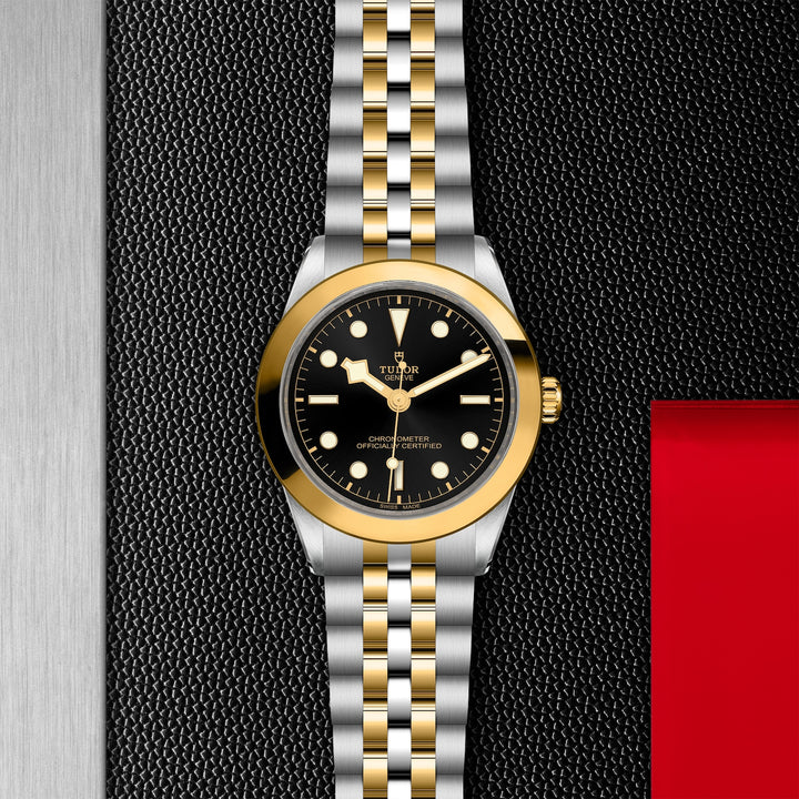 TUDOR Black Bay One S&G 39mm Master Chronometer Automatic Watch M79663-0001