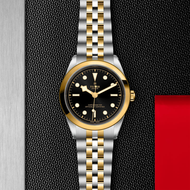TUDOR Black Bay 41mm Chronometer Yellow Gold and Steel Automatic Watch M79683-0001 - Michael Jones Jeweller