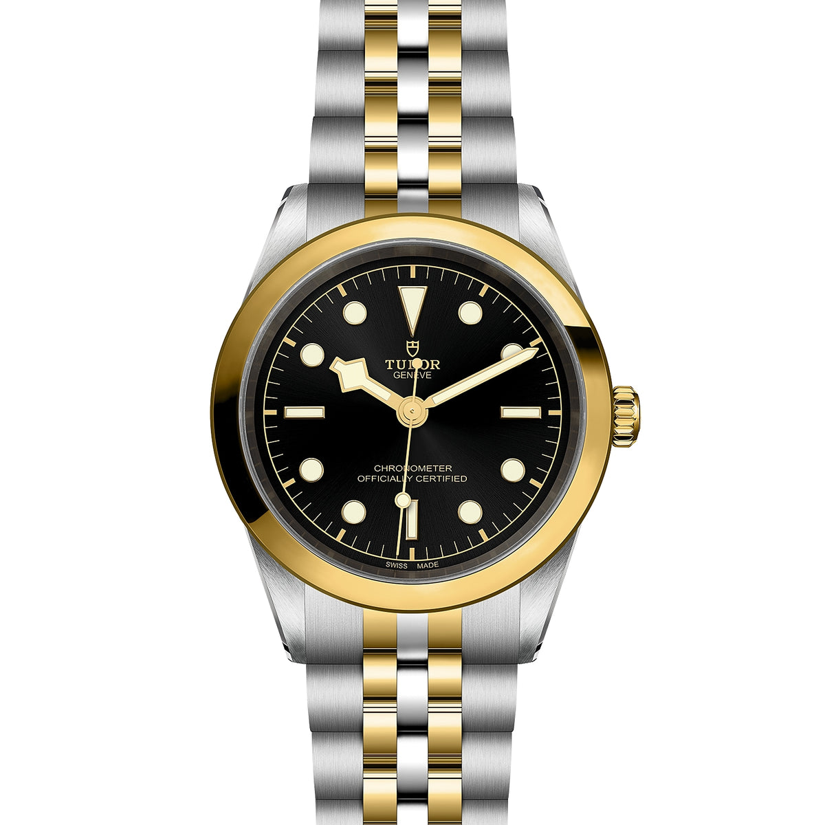 TUDOR Black Bay 41mm Chronometer Yellow Gold and Steel Automatic Watch M79683-0001 - Michael Jones Jeweller