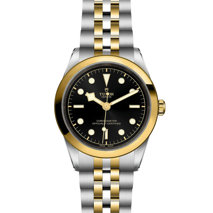 TUDOR Black Bay 41mm Chronometer Yellow Gold and Steel Automatic Watch M79683-0001 - Michael Jones Jeweller
