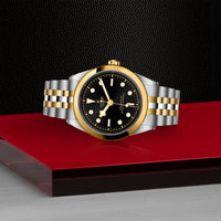 TUDOR Black Bay 41mm Chronometer Yellow Gold and Steel Automatic Watch M79683-0001 - Michael Jones Jeweller